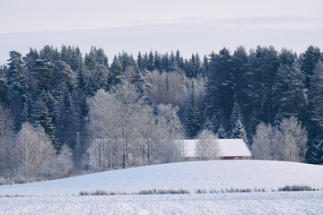 Winter landscape of rural Toten, Norway.