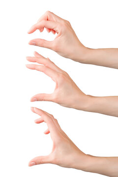 Woman hands set holding or measuring something. Isolated png with transparency