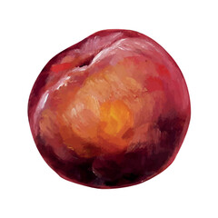 Fototapeta premium peach painting isolated on white