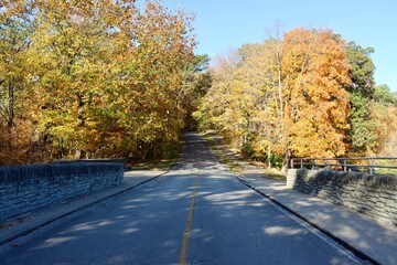 The long empty street in the country on a sunny fall day.