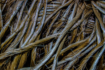 close up of dry reed