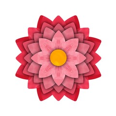 one big red pink flower on a white background