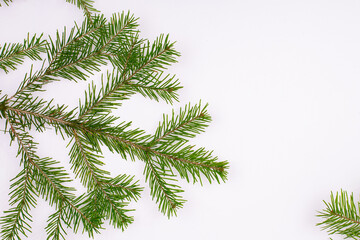 Festive xmas background. Merry christmas background. Fir branches christmas tree, great design for any purposes. 