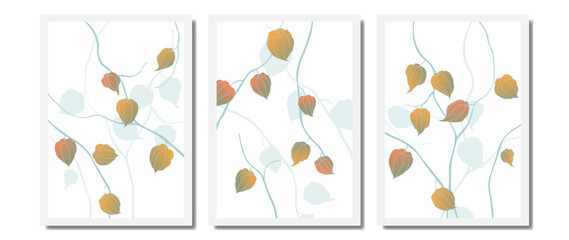 Botany vector art, set of pictures with luxury pattern. Physalis yellow and red with branches on white background, design for wall decor, interior, poster.