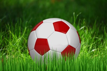 Fototapeta na wymiar Classic football or soccer ball on grass