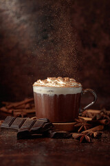 Hot chocolate with whipped cream.