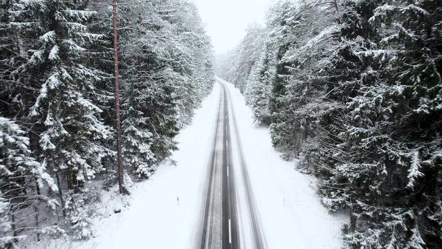 areal footage of winter road in forest full of snow while it is snowing 