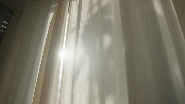 Sun rays shining through closed or shut window curtain in house or apartment. Shadows and textures of trees leaves and branches showing on curtain or shade. Garden outside as shines bright in morning