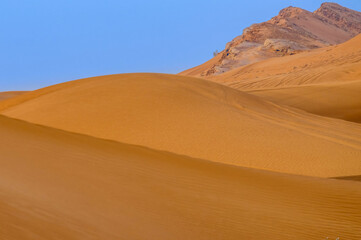 Fototapeta na wymiar Sand dunes in the Arabian desert