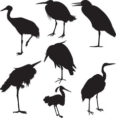 Heron silhouette set. Vector illustration . Heron bird silhouette