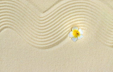 Background with stones on the sand. Selective focus.