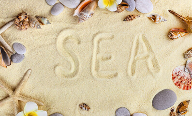 Fototapeta na wymiar Background with seashells on the sand. Selective focus.