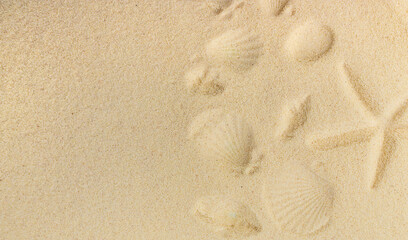 Fototapeta na wymiar Background with seashells on the sand. Selective focus.