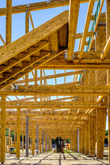 new roof framework at a hall