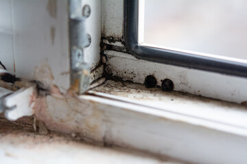 Obraz na płótnie Canvas Poor quality windows. Due to poor ventilation, poor-quality installation of plastic windows caused the appearance of black fungus on the windows and walls. Mold is a health hazard. Selective focus
