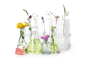 Concept of biology research, test tubes and flowers isolated on white background