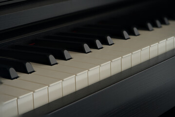 piano keyboard fragment, classical music