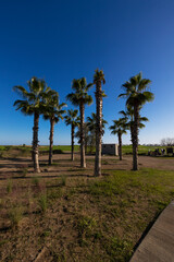 튀르키에 안탈리아 컬리넌 골프 리조트