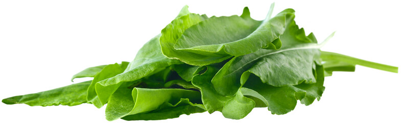 Pile of fresh green baby spinach leaves