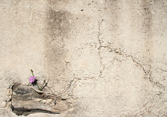 Safety shoes imprisoned in cement