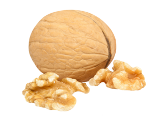 Walnuss  Hintergrund transparent PNG cut out