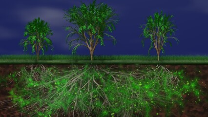 Mycelium network, fungal root system underground. Trees above ground, root system below. Common mycorrhizal network in earth. Mother tree links to children. 3d render illustration - obrazy, fototapety, plakaty