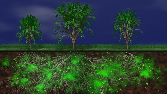 Mycelium network, fungal root system underground. Trees above ground, root system below. Common mycorrhizal network in earth. Mother tree links to children. 3d render illustration
