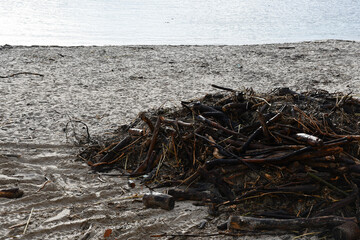 Pile of driftwood on a beach in Antibes, France, in winter