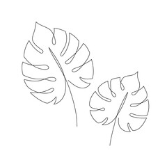 Line monstera leaf art. One continuous line art decorative monstera leaf draw. Editable stroke single tropical palm leaf element. Isolated vector illustration