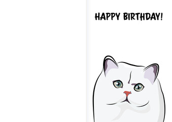 Happy birthday card with a white Persian cat head, holiday design. Present for a cat lover. Funny cartoon cat breed illustration.  Minimalistic greeting card. Fun character white background postcard.