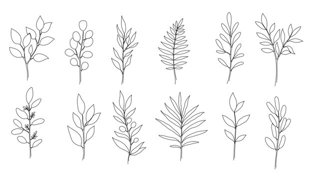 Outline boho branch, eucalyptus leaf set. One continuous line art decorative plant leaves. Editable stroke eucalyptus, fern, salal, olive foliage floral element. Isolated vector illustration