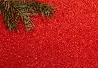 Red christmas background with green tree branch in corner