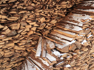 Close up stack of firewood in winter garden