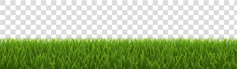 green grass on white background