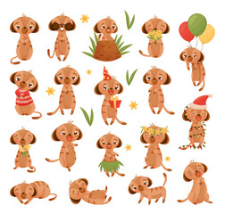 Cute Meerkat or Suricate Character Engaged in Different Activity Big Vector Set