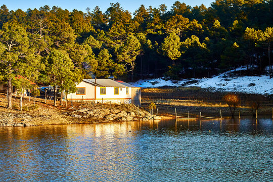 lake on winter with snow and beautiful forest in the background, arareco lake in creel chihuahua 