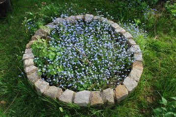 stone circle as a flower bed with summer flowers