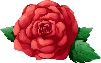 Cartoon red rose, lush flower isolated