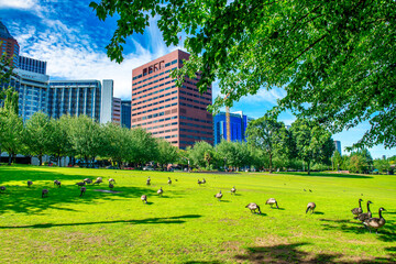Buildings and trees in Portland, Oregon - USA.