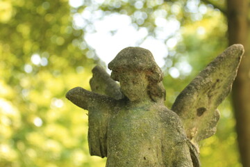 cementery in Hull UK