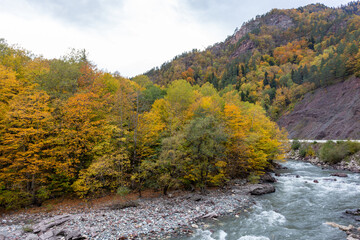 the beginning of autumn, nature walks, panoramic views of the mountains, hiking trails and recreation in the mountains.*