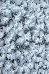 Ice surface on a river with white crystals of rime texture background close-up. Macro shot.