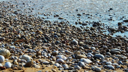 pebbles washed by the waves on the beach