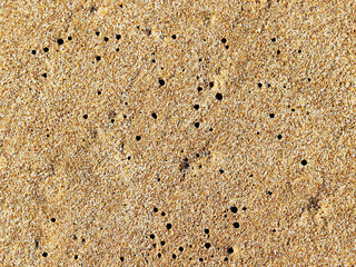 sand on the beach sea background texture