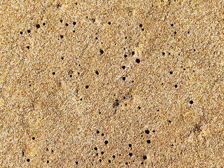 sand on the beach sea background texture