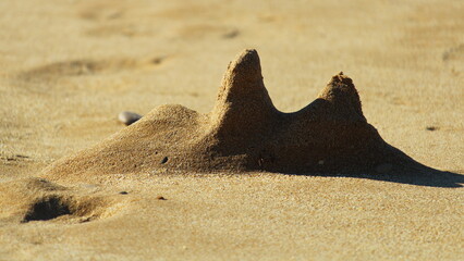 sandy abstract random figure on the beach