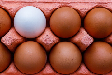 Open egg box with ten brown eggs close up view. Fresh organic chicken eggs in carton pack or egg container