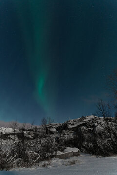 aurora borealis beautiful northern lights in abisko sweden © Dimitri