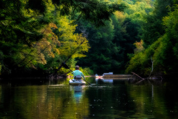 Kayaker rowing along lush stream