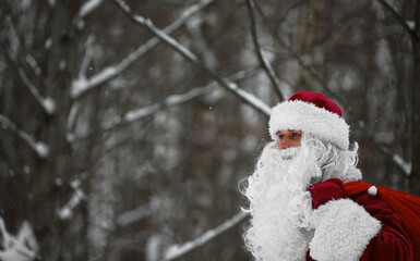 Santa Claus with bag of Christmas gifts is walking in snow forest.